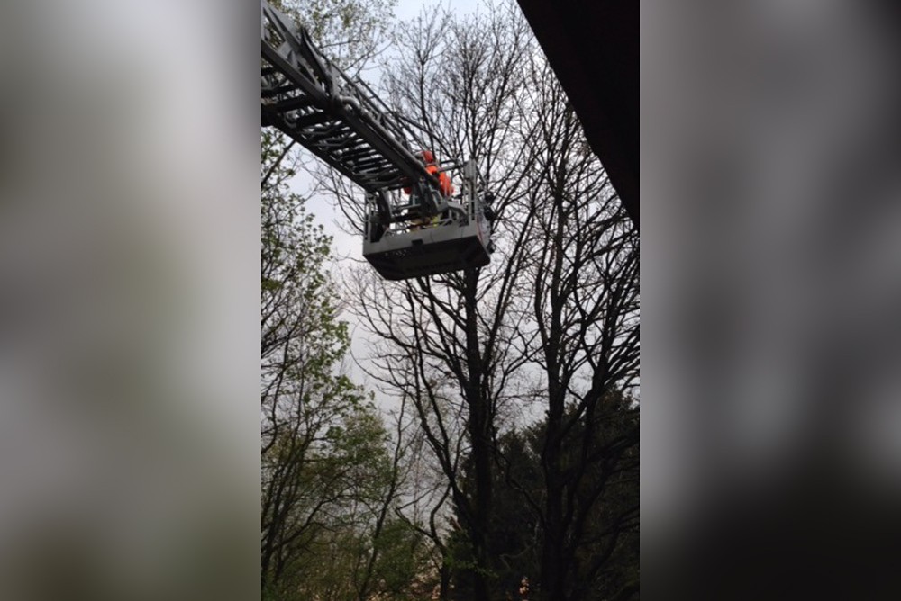 WiKa Erodiertechnik, Werkzeugtechnologie, Katze gerettet, Lüdenscheid, Feuerwehr